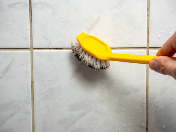 Best Residential Mold Remediation in Huntley, IL