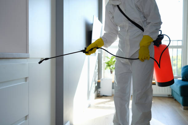 Best Mold Remediation for Specific Building Types in Huntley, IL