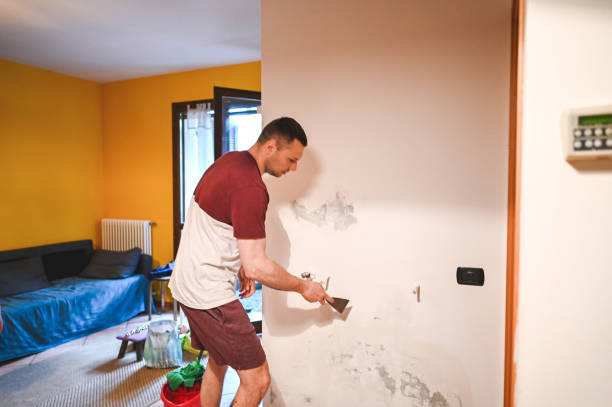 Best Black Mold Remediation in Huntley, IL